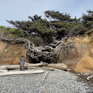 Meet your Posher, Leilani